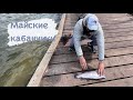 Майские кабанчики. Дикая форель на платном водоеме.