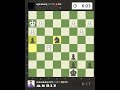 A checkmate without queen.