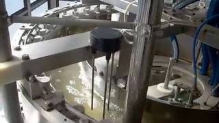 Internal Valve Vacuum Filler Peas