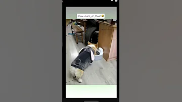 المشاكل التي لاتعرف بمشاكل 