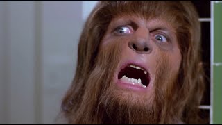 Scott Howard Scene Pack Teen Wolf