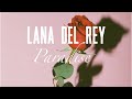 Lana del rey paradise unreleased lyric