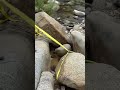Moving boulders in search for Gold #adventure #goldrush #outdoors