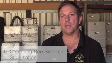 The Barrier Management System – a best practice video from the Honey Bee & Pollination Program