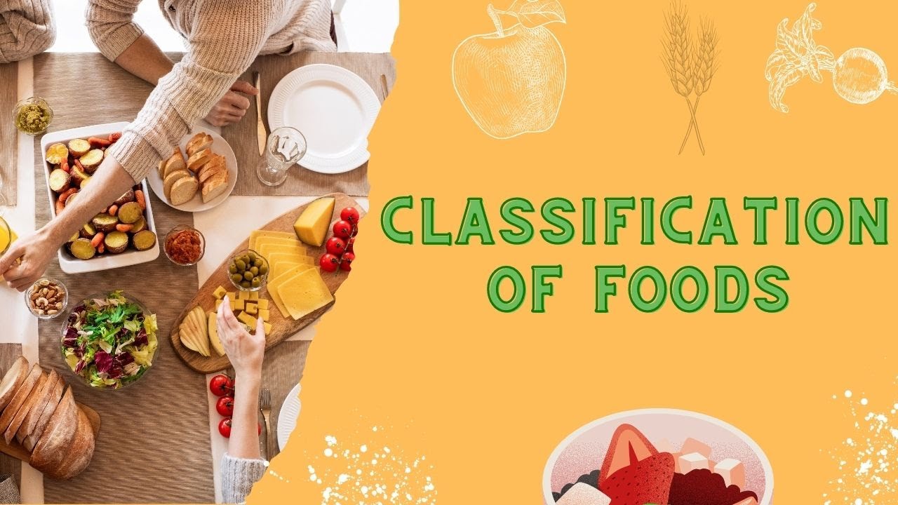 food classification essay