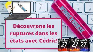 114.TUTO WINDEV Les ruptures dans les états.