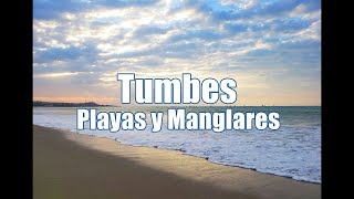 Tumbes, Perú: Playas y Manglares 4K  | Gigi Aventuras