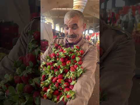 من سوق الجملة للخضر و الفواكه الدارالبيضاء لي عجبوا الفيديو يدير ابوني و شكرا للمتتابعين