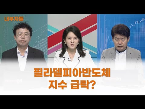   내부자들 필라델피아반도체 지수 급락 인성익 인베스트자문 고문 김민수 레몬리서치 대표