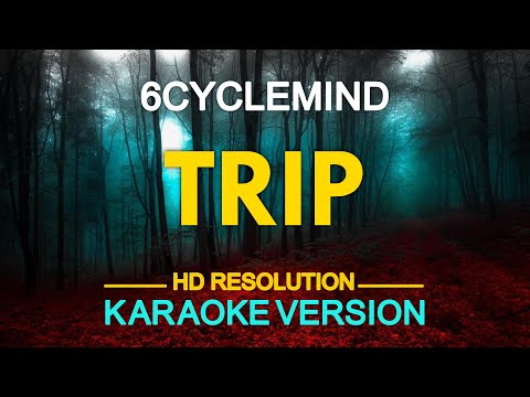 TRIP - 6cyclemind