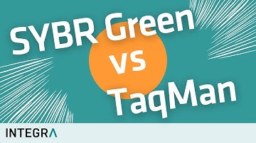 SYBR Green vs TaqMan – How qPCR works