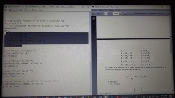 Matriz inversa método fadeva en python