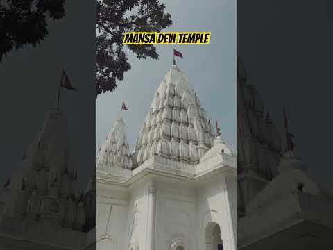 Mansa Devi | Kalka Mata Mandir #shorts #ytshorts #youtubeshorts #shortvideo #mansadevitemple #travel