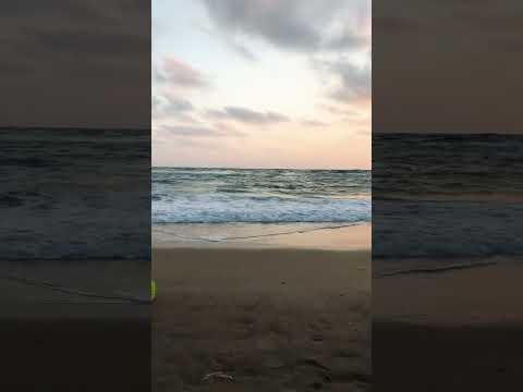 يافا الجميلة بعيون صغيرة