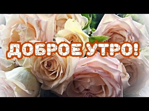 С Добрым Утром! Пожелание с Добрым Утром!Good morning!