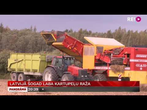 Video: Sintētiskās Signālu Sekvences, Kas Nodrošina Efektīvu Sekretoro Olbaltumvielu Ražošanu Raugā Kluyveromyces Marxianus