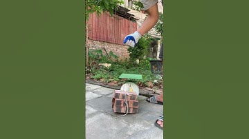 Cước câu cá 3D d-fish 500m #99k #fishing #cauca #thinhhanh #danganhfishing