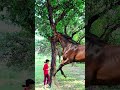 ￼yaar Tera Hero khalnayak ho gaya / tree se bahar nikalne wala #trending #youtubeshorts #vfx