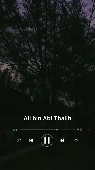 Story Wa Kata Bijak Ali Bin Abi Thalib 2 (Story Wa)