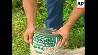 GUAM: BROWN TREE SNAKE RESPONSIBLE FOR EXTINCTION OF 5 SPECIES