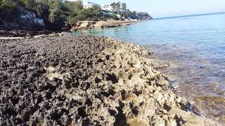 Bellavista (Mallorca ). 1
