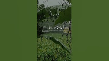 وَهُوَ الَّذي يُنَزِّلُ الغَيثَ 🤍 علي جابر | سورة الشورى #قرآن #علي_جابر #quran