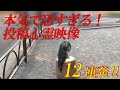 【期間限定配信】本気で恐すぎる!投稿心霊映像12連発!