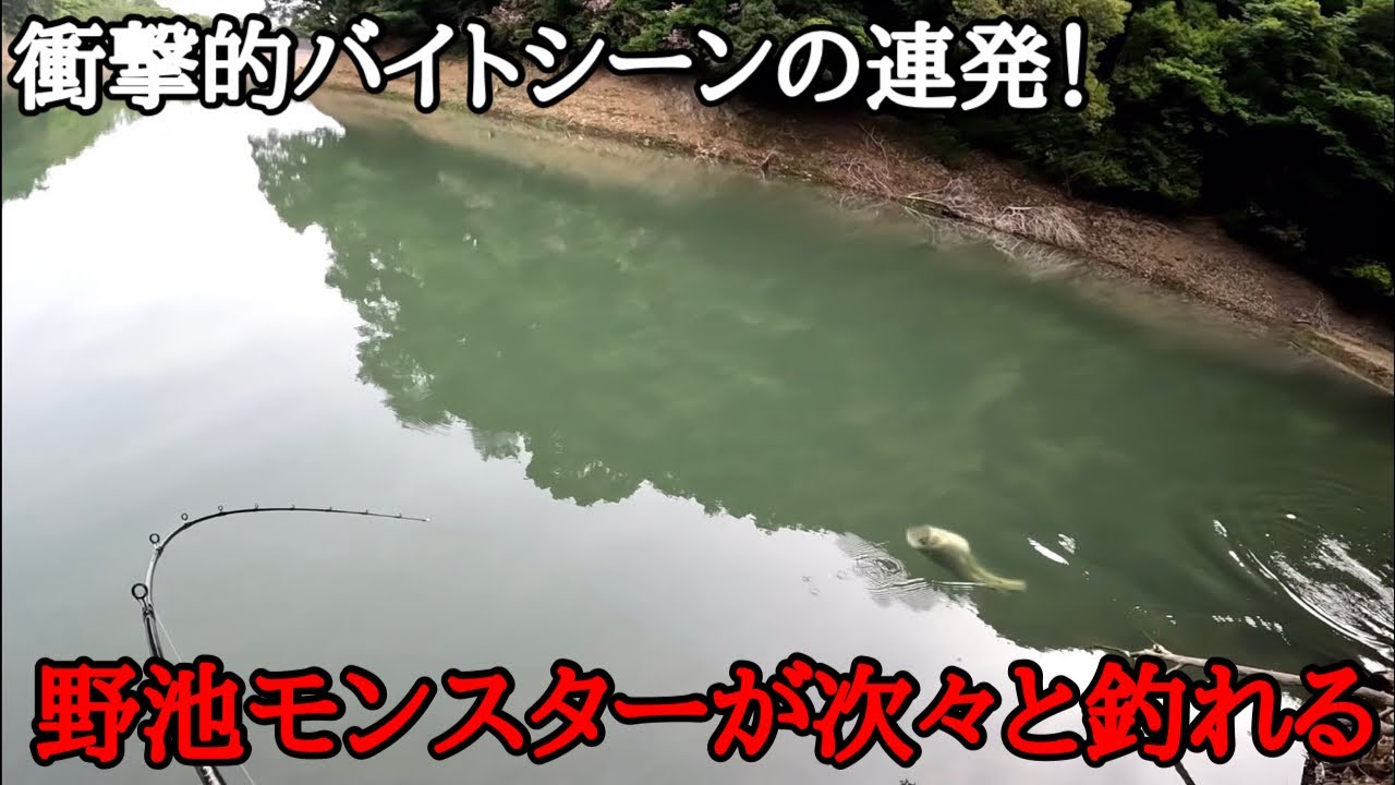 【衝撃映像】あの伝説級に釣れたワームが威力を吹き返した結果がヤバすぎ