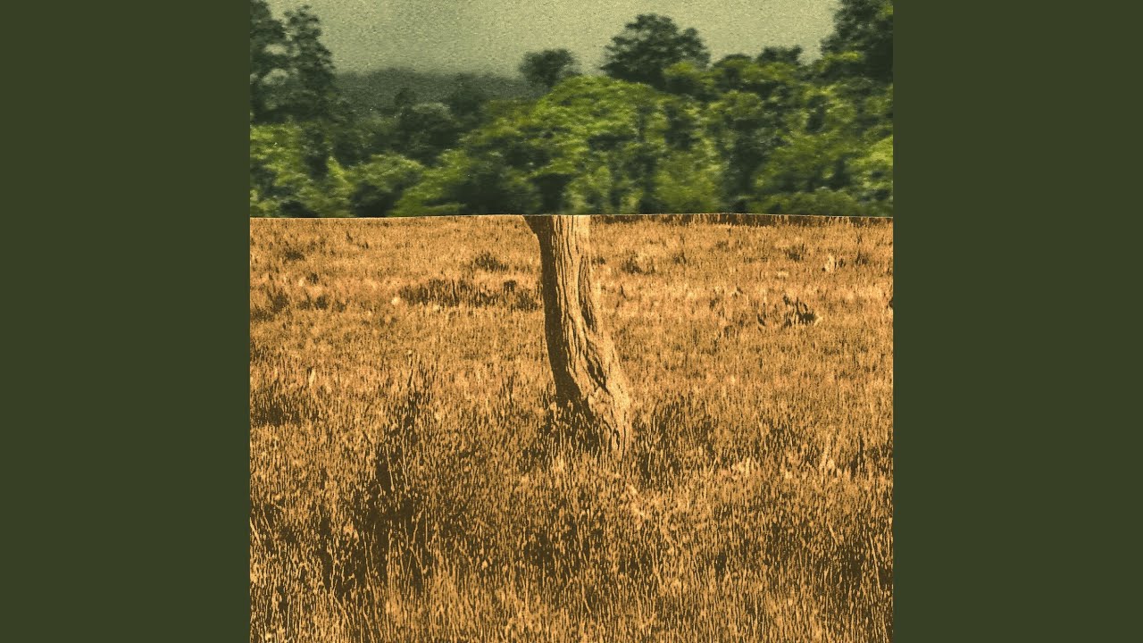 Sleduj Green Fields na YouTube Sleduj Green Fields na YouTube