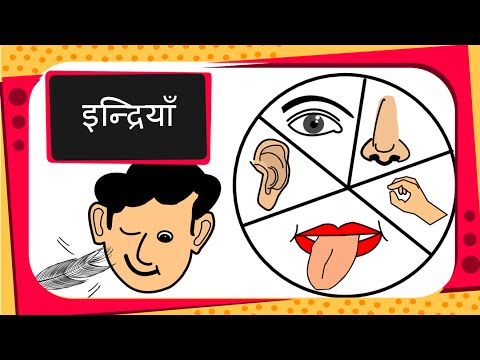 Hindi Body Parts Chart