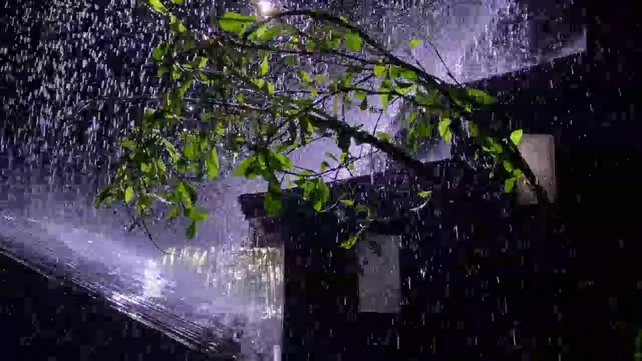 8 Hours Heavy Rain Sounds on Tin Roof for Sleeping