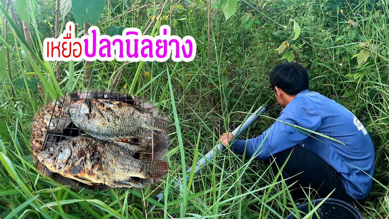 ใส่บั้งลันปลาไหล เหยื่อสูตรเด็ดปลานิลย่าง / looktoowan EP.75