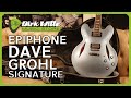 Dirk witte  epiphone dg335 dave grohl signature