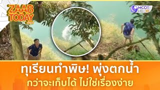 ทุเรียนทำพิษ! พุ่งตกน้ำ กว่าจะเก็บได้ ไม่ใช่เรื่องง่าย (2 พ.ค.67) | แซ่บทูเดย์