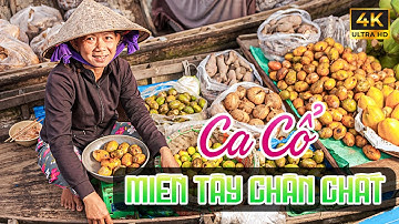 Ca Vọng Cổ Miền Tây Hơi Dài Thư Giãn Dễ Ngủ - Ca Cổ Cải Lương Hơi Dài Ru Ngủ Hay Nhất🌾Tân Cổ Dân Ca