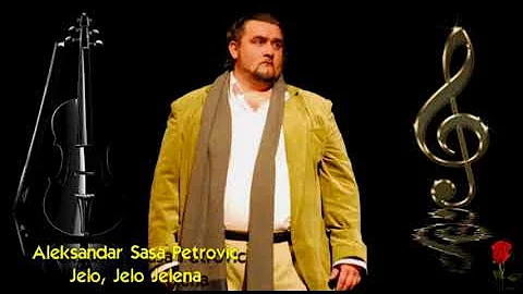 Aleksandar Sasa Petrovic - Jelo, Jelo Jelena