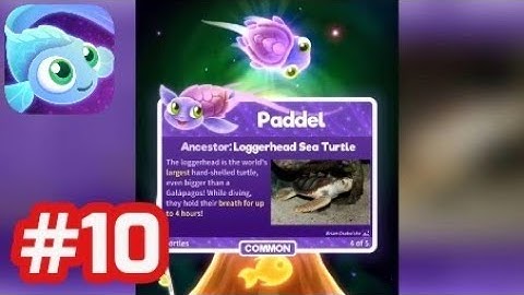 Super Starfish - Gameplay Walkthrough - Part 10 Unlock Paddel, Collect 200 Stars (iOS/Android)