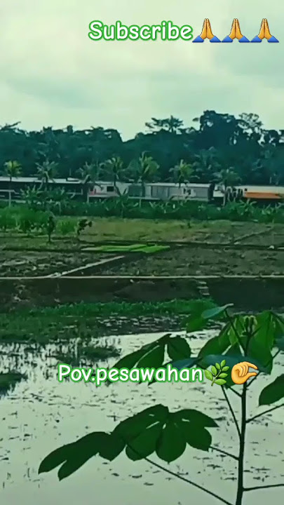 riview pemandangan desa tatar sunda#shorts