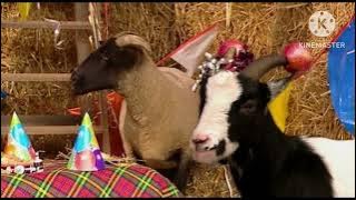 Message to @jackaggioscomedyentertainment