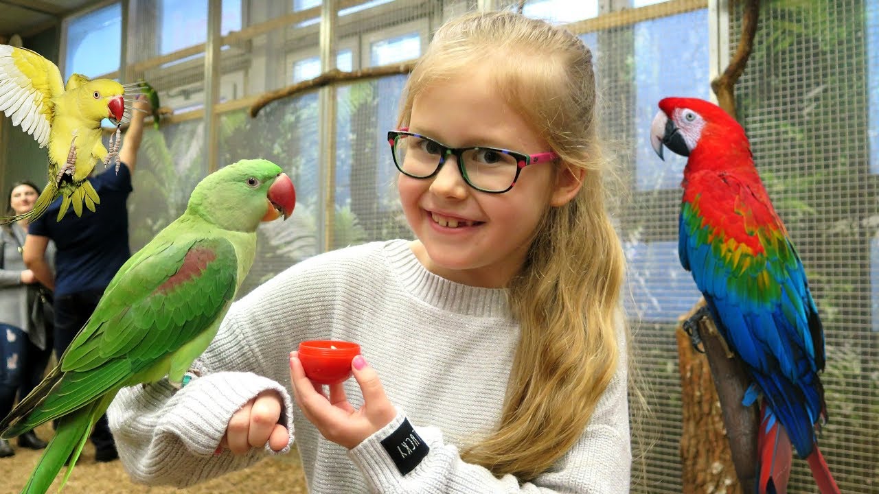 PAPUGARNIA +WYNIKI KONKURSU JASKINIOWIEC - PAPUGA NA MOJEJ GŁOWIE