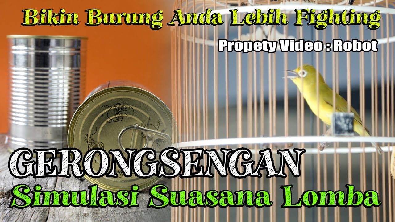 SIMULASI LOMBA FINALAN||GERONGSENGAN TERBAIK 2022||ROBOT KECIAL JOSS||BROTHER'S CIAK