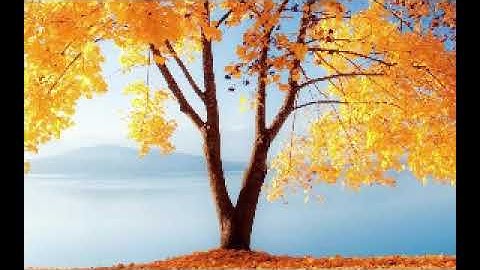 تكرار الآيات من 199الى202من سورة البقرة أكثر من 20 مرة