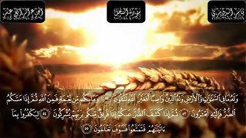 تلاوة جميلة من سورة النحل للشيخ ياسر الدوسري