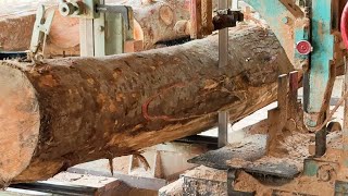 Revealing Monster Sawmill Innovations, Amazing Wood Technology at Work!