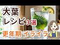 大葉レシピ3選|5月の更年期だるさ・イライラに効く!薬膳の知恵で気の巡りを整える