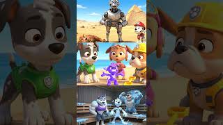 😍 The Life and Fate of the Paw Patrol: Touching Animations 🐶✨The Incredible Story of the Paw Patrol