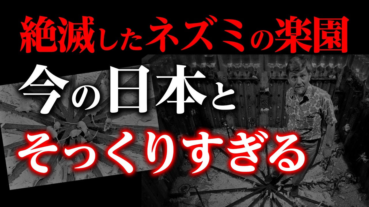 【閲覧注意】完璧だった社会が絶滅した日、そして日本は今、同じ道を進んでいる