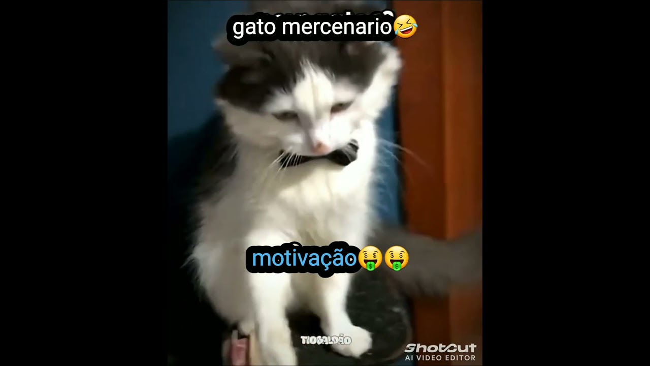 #roblox #meme os animais agindo que nem gente🤣🤣😂