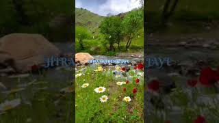 panna ki tamana hai ki #music 🤗🤗🥰🥰 #nature