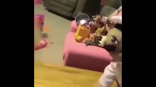 Junior and his happy meal